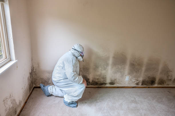 Best Biohazard Mold Removal  in Aromas, CA